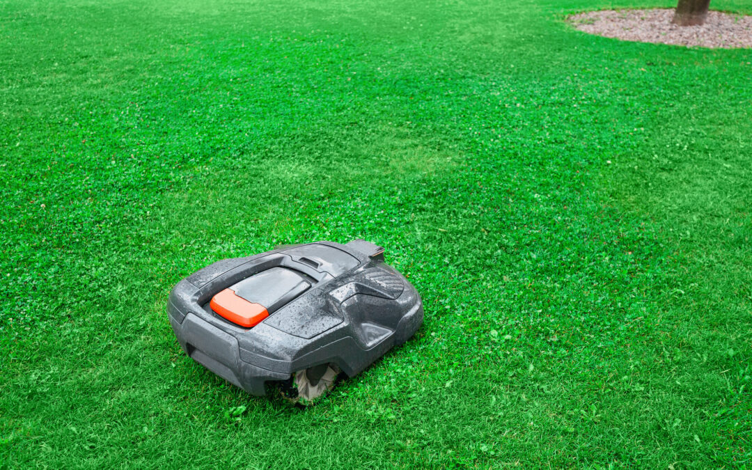 Your Yard Could Use an Upgrade Before the Long Weekend
